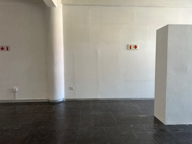 To Let Commercial Property for Rent in Woodstock Western Cape